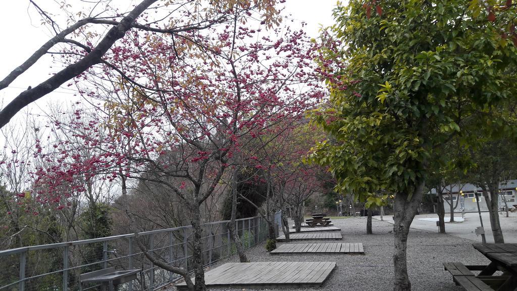 Qing Jing Xiao Taiyang Jingguan Homestay Ren’ai Zewnętrze zdjęcie
