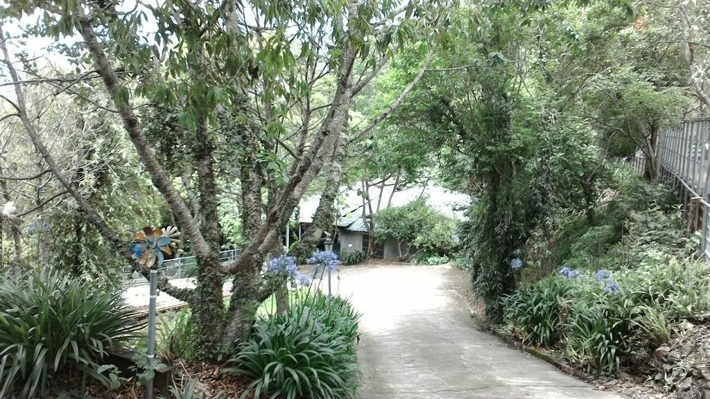 Qing Jing Xiao Taiyang Jingguan Homestay Ren’ai Zewnętrze zdjęcie